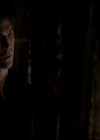 VampireDiariesWorld-dot-org_4x13IntoTheWild1697.jpg