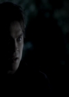 VampireDiariesWorld-dot-org_4x13IntoTheWild1772.jpg