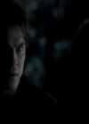 VampireDiariesWorld-dot-org_4x13IntoTheWild1778.jpg