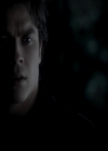 VampireDiariesWorld-dot-org_4x13IntoTheWild1784.jpg