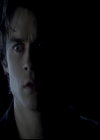 VampireDiariesWorld-dot-org_4x13IntoTheWild1832.jpg