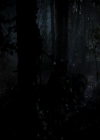 VampireDiariesWorld-dot-org_4x13IntoTheWild1893.jpg