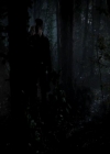 VampireDiariesWorld-dot-org_4x13IntoTheWild1894.jpg