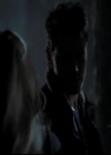 VampireDiariesWorld-dot-org_4x13IntoTheWild1920.jpg