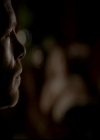 VampireDiariesWorld-dot-org_4x13IntoTheWild2020.jpg