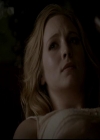 VampireDiariesWorld-dot-org_4x13IntoTheWild2064.jpg