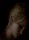 VampireDiariesWorld-dot-org_4x13IntoTheWild2118.jpg