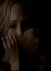 VampireDiariesWorld-dot-org_4x13IntoTheWild2131.jpg