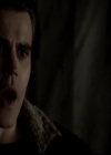 VampireDiariesWorld-dot-org_4x13IntoTheWild2152.jpg