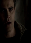 VampireDiariesWorld-dot-org_4x13IntoTheWild2172.jpg