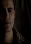 VampireDiariesWorld-dot-org_4x13IntoTheWild2228.jpg