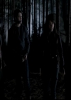 VampireDiariesWorld-dot-org_4x13IntoTheWild2273.jpg