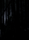 VampireDiariesWorld-dot-org_4x13IntoTheWild2292.jpg