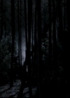 VampireDiariesWorld-dot-org_4x13IntoTheWild2293.jpg