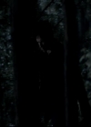 VampireDiariesWorld-dot-org_4x13IntoTheWild2296.jpg