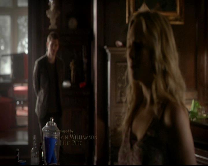 VampireDiariesWorld-dot-org_4x17BecauseTheNight0213.jpg