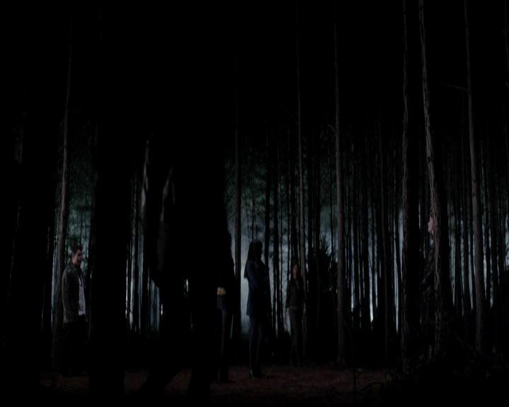 VampireDiariesWorld-dot-org_4x17BecauseTheNight1048.jpg