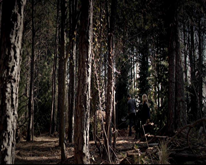 VampireDiariesWorld-dot-org_4x17BecauseTheNight1968.jpg