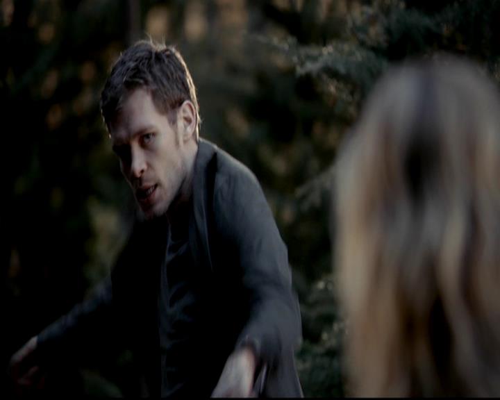 VampireDiariesWorld-dot-org_4x17BecauseTheNight1981.jpg