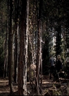 VampireDiariesWorld-dot-org_4x17BecauseTheNight1967.jpg