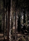 VampireDiariesWorld-dot-org_4x17BecauseTheNight1970.jpg