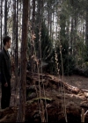 VampireDiariesWorld-dot-org_4x17BecauseTheNight2061.jpg