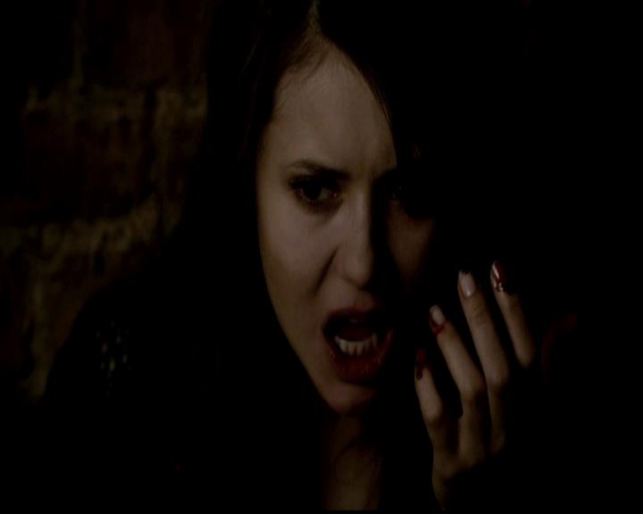 VampireDiariesWorld-dot-org_4x20TheOriginals2256.jpg