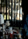 VampireDiariesWorld-dot-org_4x20TheOriginals0275.jpg