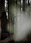 VampireDiariesWorld-dot-org_5x03OriginalSin1407.jpg