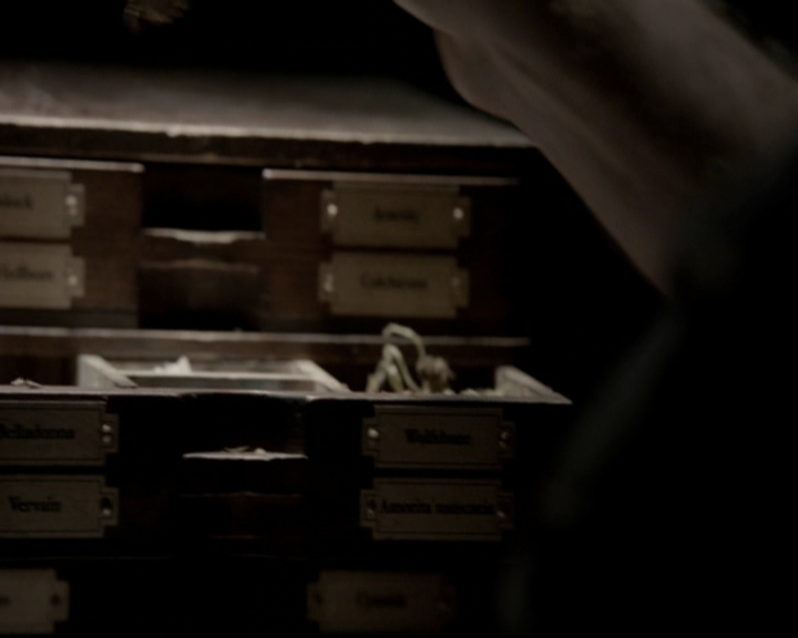 VampireDiariesWorld-dot-org_5x20WhatLiesBeneath0861.jpg