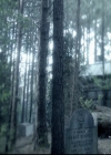 VampireDiariesWorld-dot-org_5x22Home1181.jpg