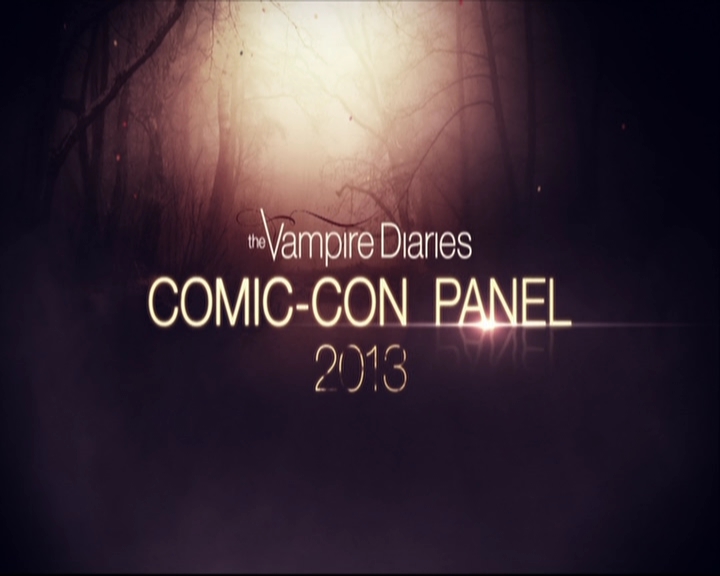 VampireDiariesWorld-dot-org_2013ComicConPanel0001.jpg