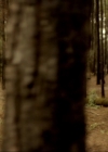 VampireDiariesWorld-dot-nl_7x06BestServedCold0127.jpg