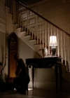 VampireDiariesWorld-dot-nl_7x11ThingsWeLostInTheFire0255.jpg