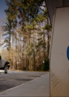 VampireDiariesWorld-dot-nl_7x14MoonlightOnTheBayou0123.jpg