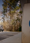 VampireDiariesWorld-dot-nl_7x14MoonlightOnTheBayou0124.jpg