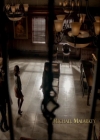 VampireDiariesWorld-dot-nl_7x14MoonlightOnTheBayou0161.jpg