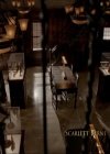 VampireDiariesWorld-dot-nl_7x14MoonlightOnTheBayou0176.jpg