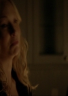 VampireDiariesWorld-dot-nl_7x14MoonlightOnTheBayou2043.jpg