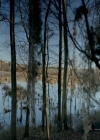 VampireDiariesWorld-dot-nl_7x15IWouldForYou0009.jpg