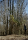 VampireDiariesWorld-dot-nl_7x15IWouldForYou0052.jpg