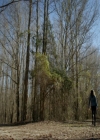 VampireDiariesWorld-dot-nl_7x15IWouldForYou0053.jpg