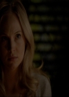 VampireDiariesWorld-dot-nl_7x20KillEmAll2091.jpg